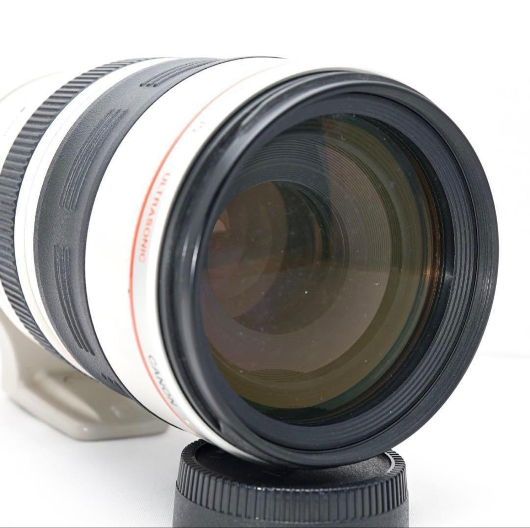 超望遠✨Canon EF 100-400mm L IS USM✨元箱・ケース付き