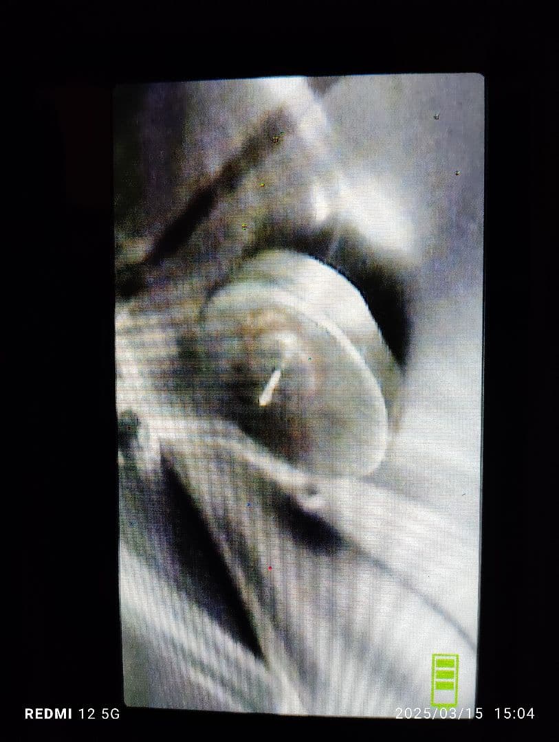 今週末限定特価セール中！SUZUKI RGV250Γ タンク VJ22A