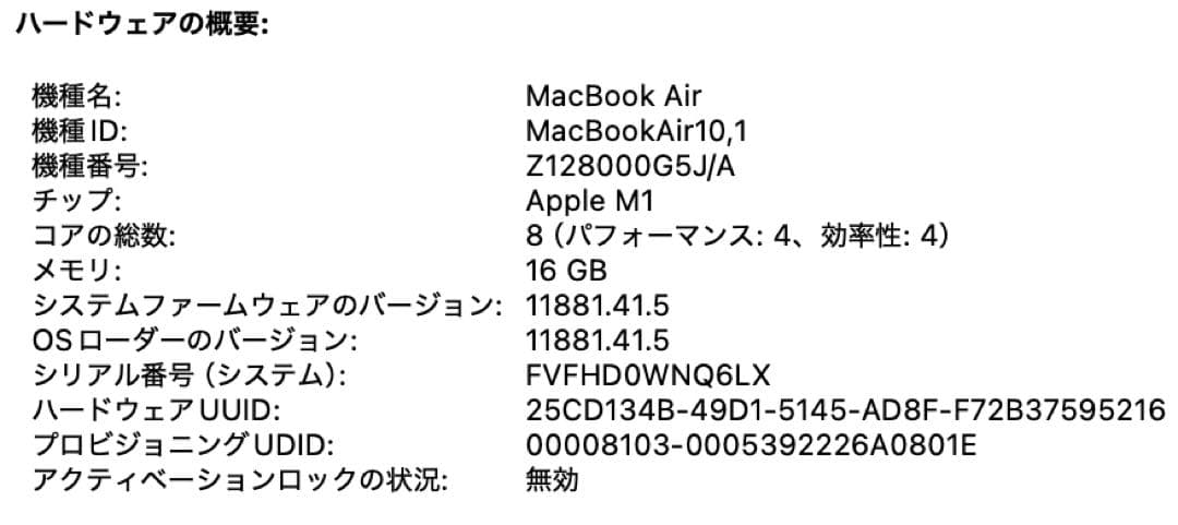 【上位CTO】MacBook Air M1 8C8G 16G 1TB USその他