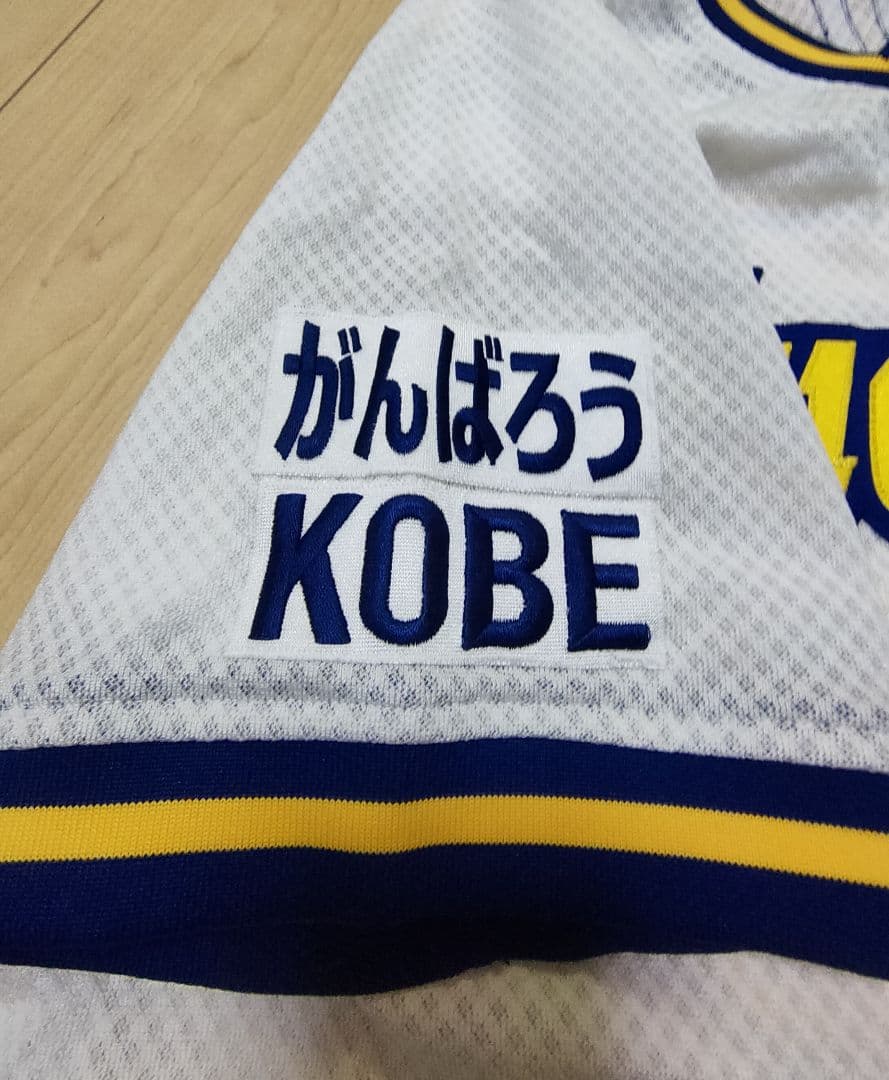 【希少】田口壮 直筆サイン入りユニフォーム #33 オリックス ブルーウェーブ