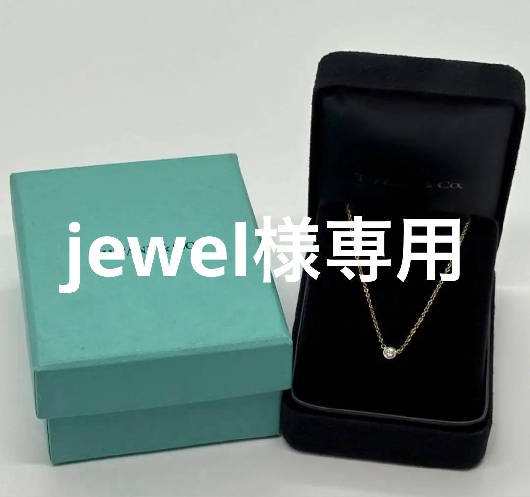 アクセサリー jewel