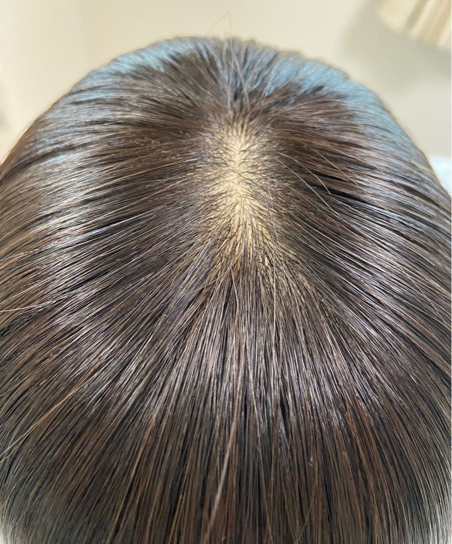 高級レミー人毛100% 【総手植えM】自然な黒　フルウィッグ　シルクスキン医療用