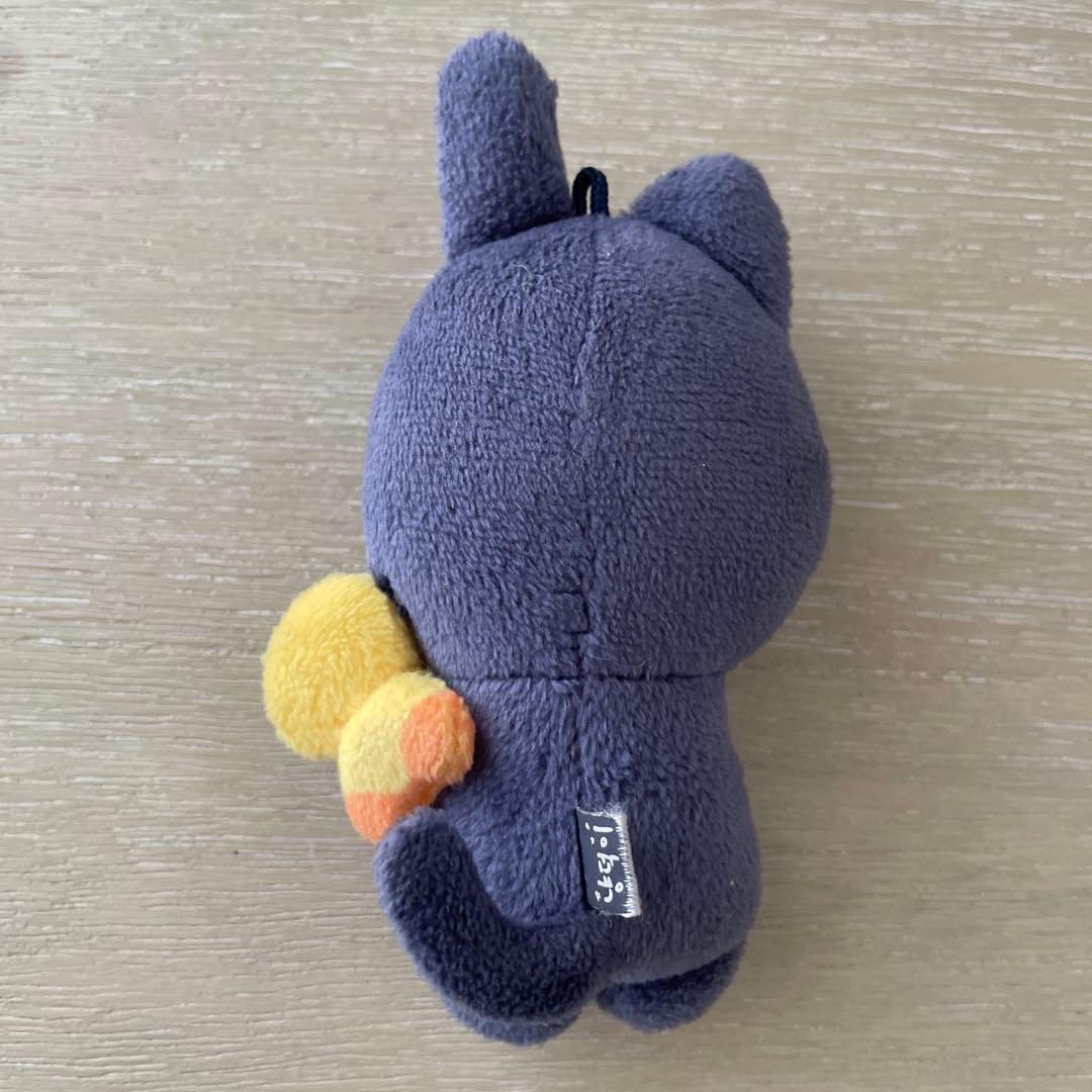 RIIZE ウォンビン　ペンライトカバー　キーホルダー　WONBIN シュシュ