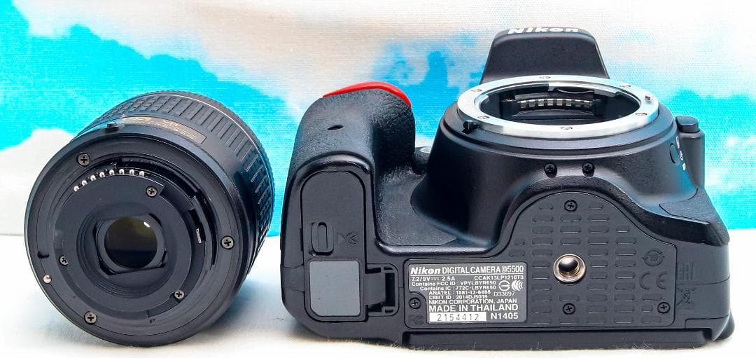 ニコン Nikon D5500⭐️スマホ転送機能付⭐️超高画質2416万画素
