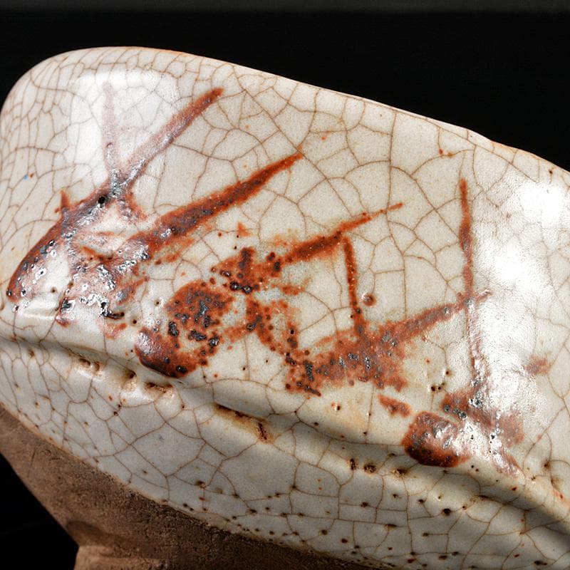 茶道具　志野茶碗　仕覆付　表千家十三代即中斎極め箱　V　R5871