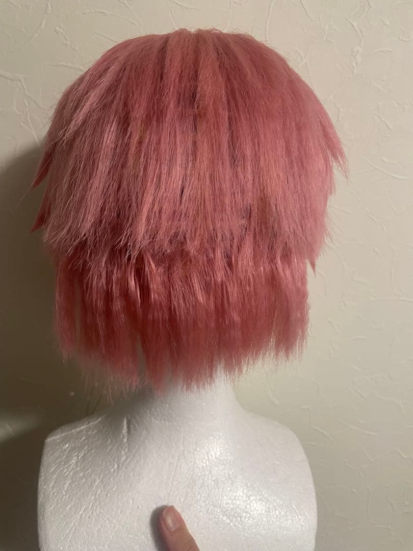 にじさんじ　赤城ウェン　コスプレ　ウィッグ　カットセット済み