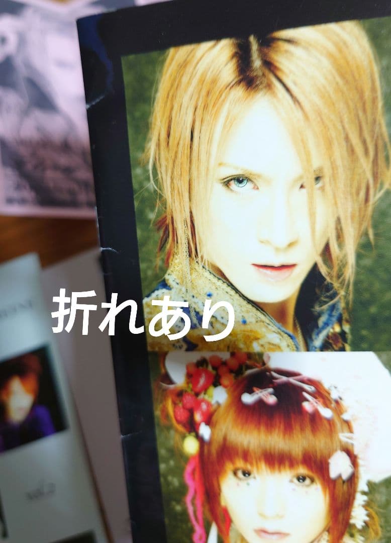 後期LAREINEファンクラブFleur会報セット KAMIJO