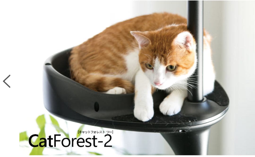 OPPO CatForest-2 キャットフォレスト2 ホワイト