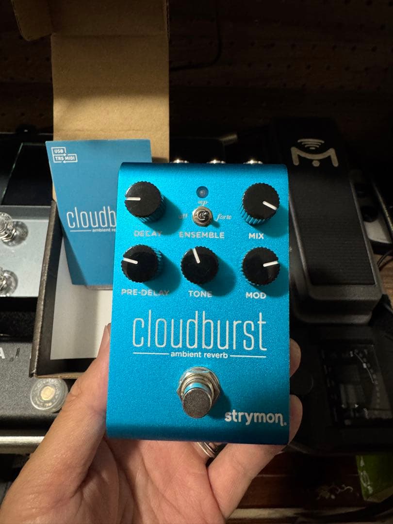 Strymon cloudburst クラウドバースト　GW最終値下げです