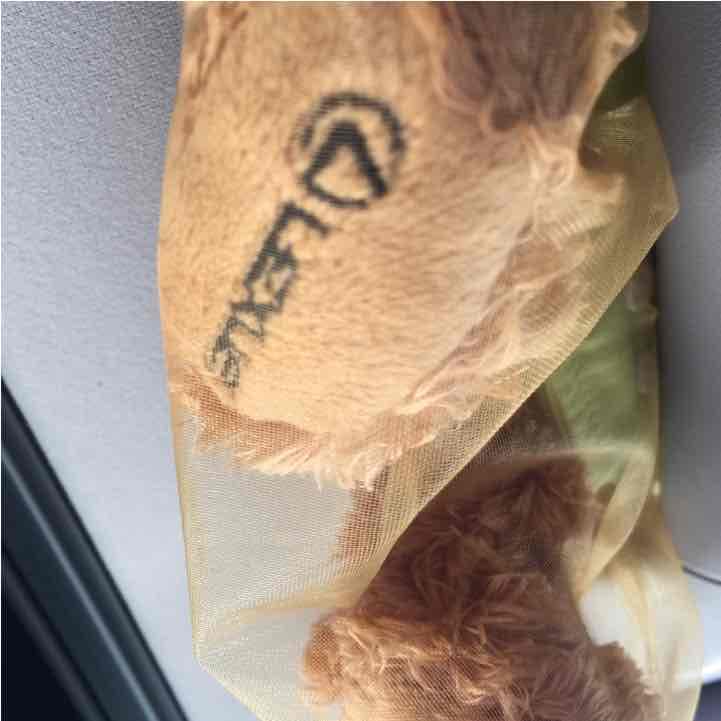 レクサス仕様 テディベア春バージョン