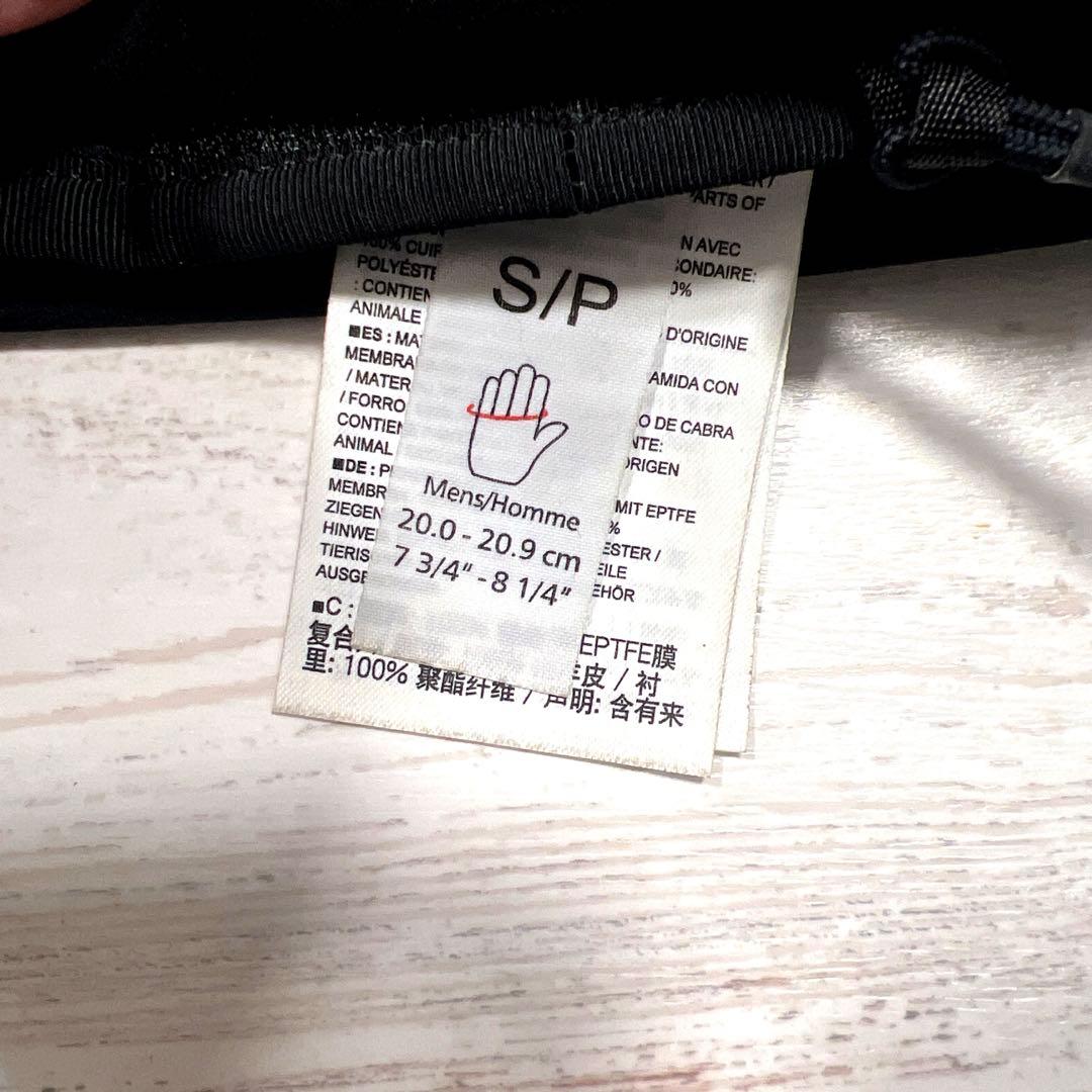 C’TERYX アークテリクス　アルファSVグローブＳ