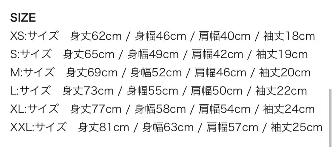 【XXLサイズ】　Hi-STANDARD ハイスタ SNBTour Tシャツ