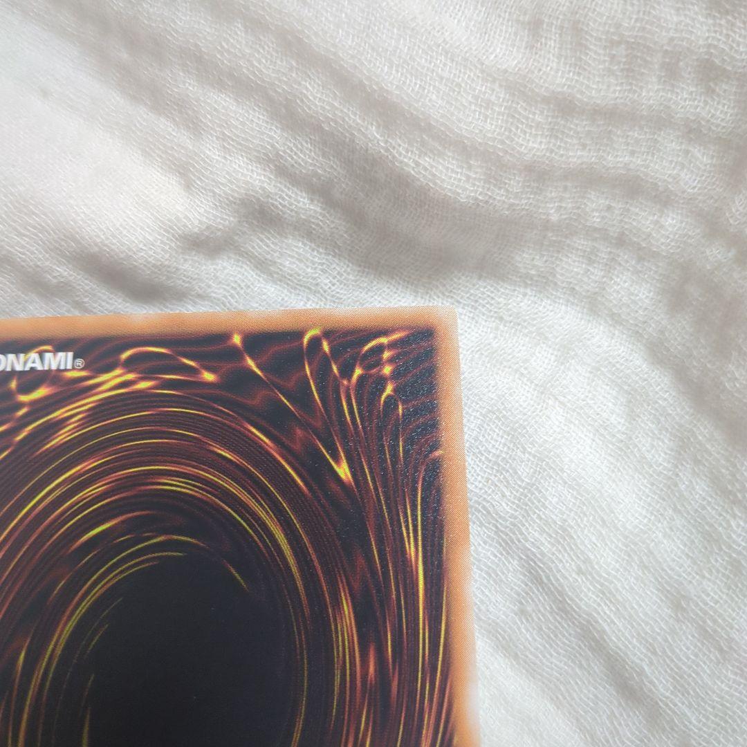 み*こ様 遊戯王ブラックデーモンズドラゴンレリーフ