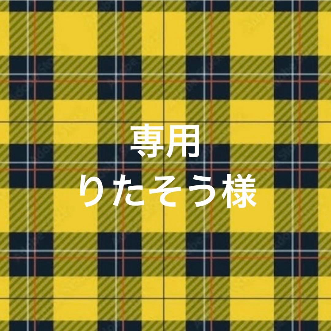 専用ページ りたそう様2/1