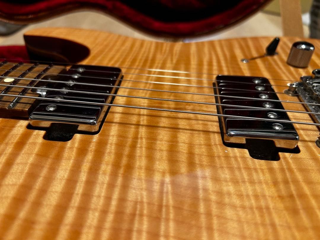 ギター Harley Benton Fusion-T HH Roasted