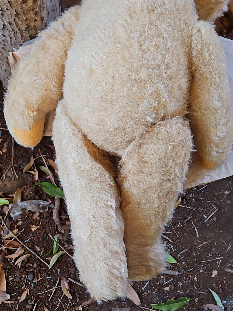 レア☆ DDRベア ベビーフェイスが可愛い大きな子 ʕ•ᴥ•ʔ