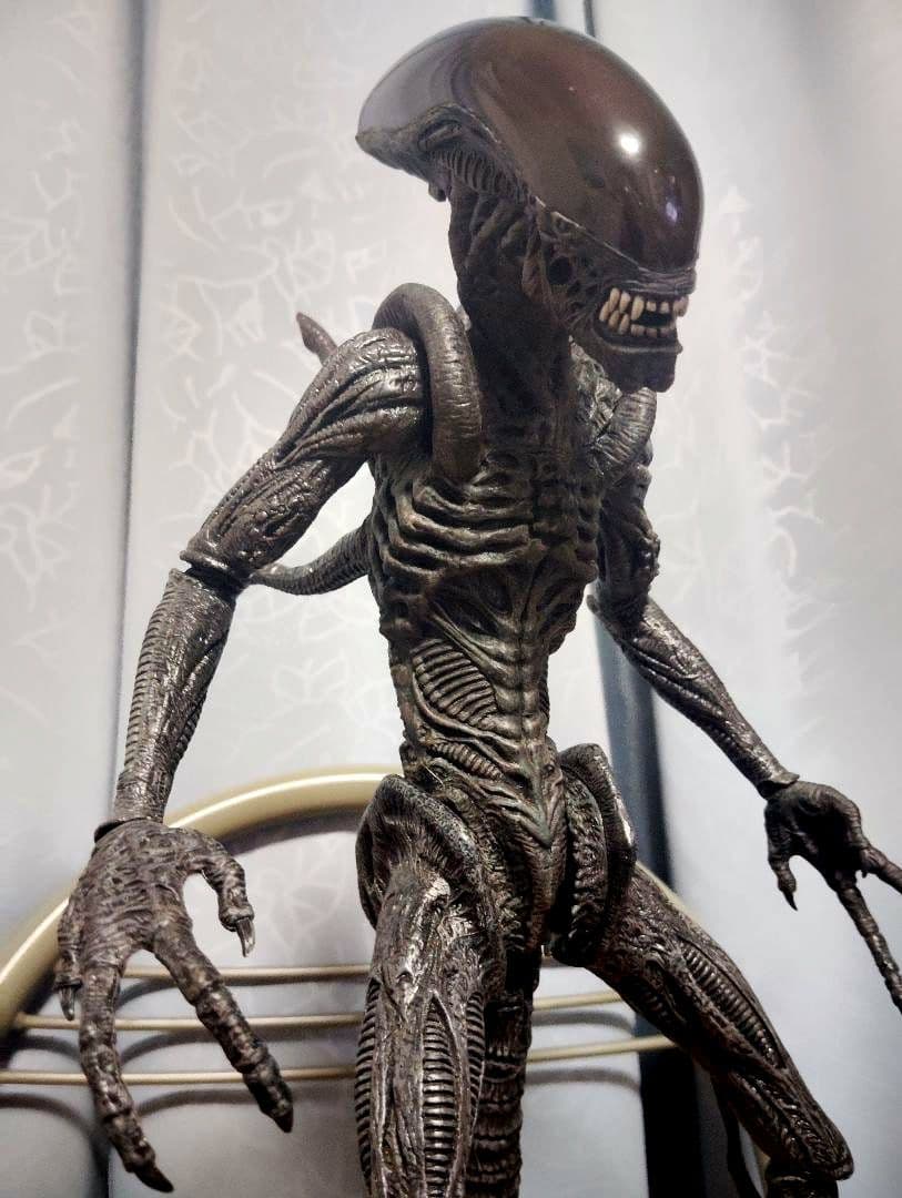 2006.HOTTOYS MM#017“AVP·Alien Warrior”