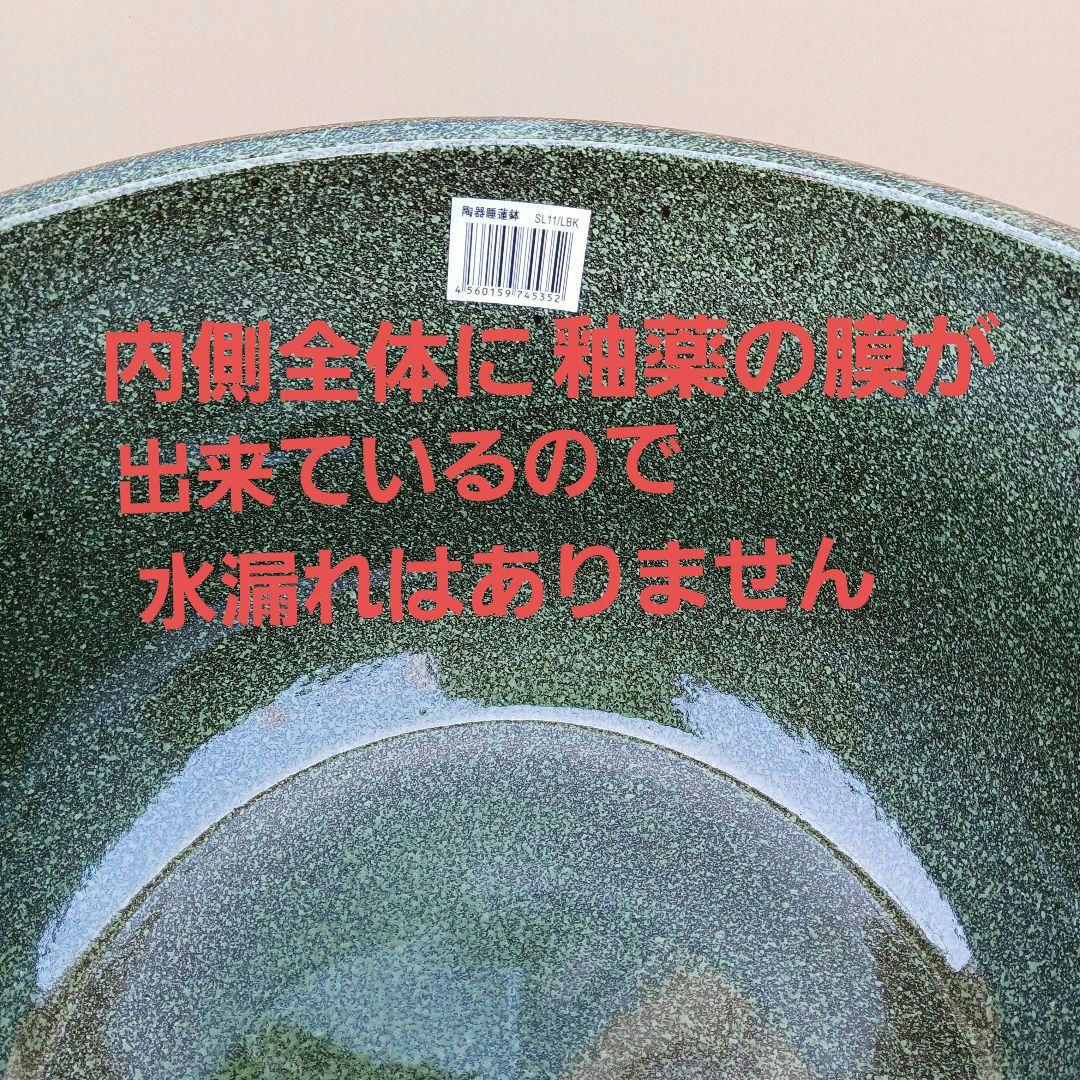 新品　特大50　陶器睡蓮鉢　メダカ鉢　難有　エメラルドグリーン　緑黒　高級LBK