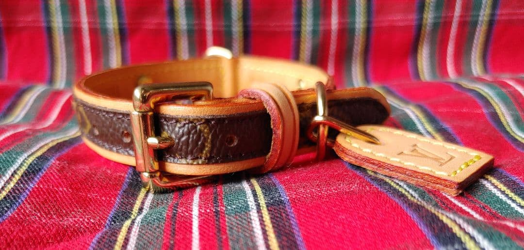 ルイヴィトン★カラー&リード★美品