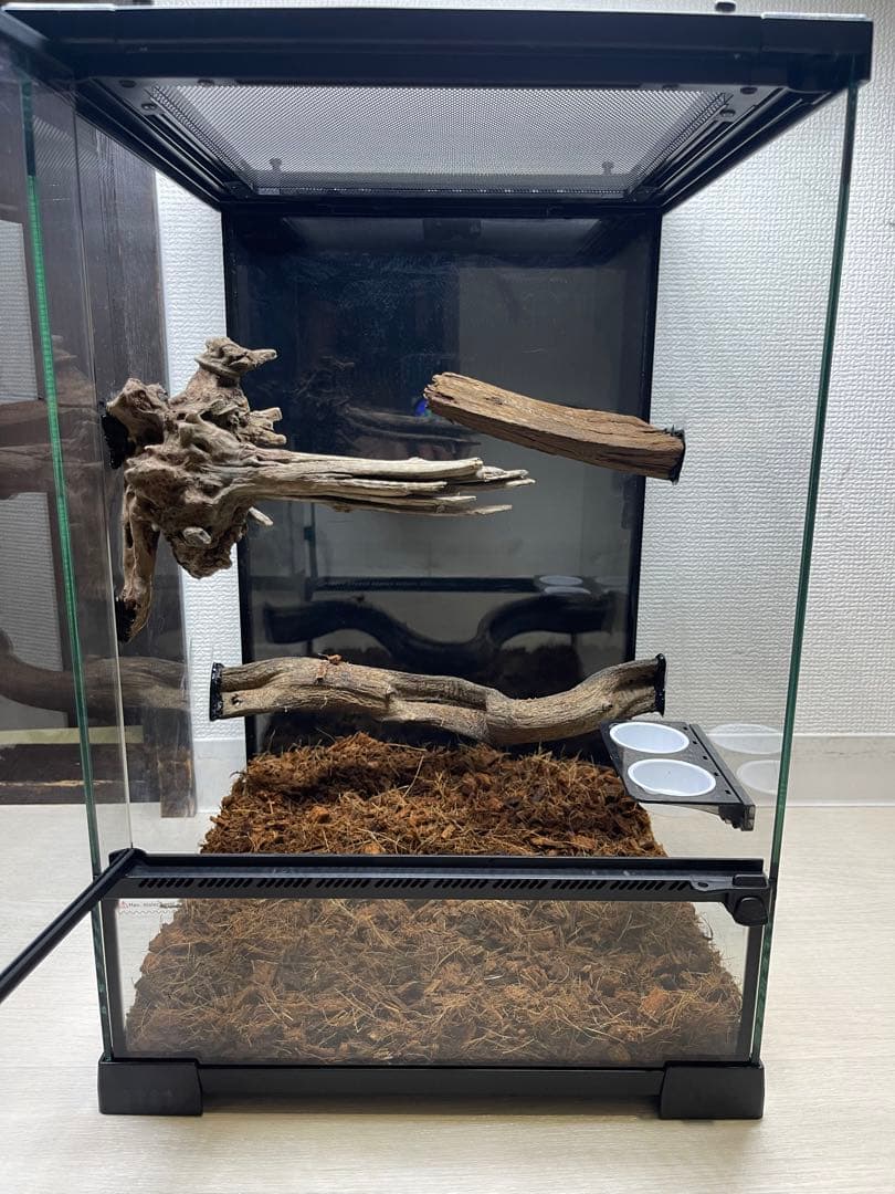 爬虫類　ゲージ　レイアウト