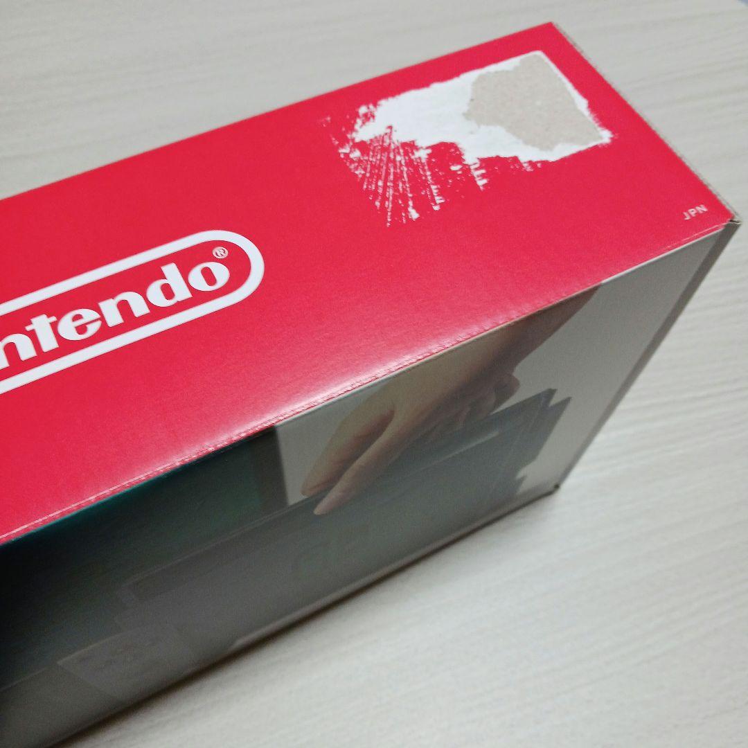 Nintendo Switch 本体一式 / ケース コントローラー付き