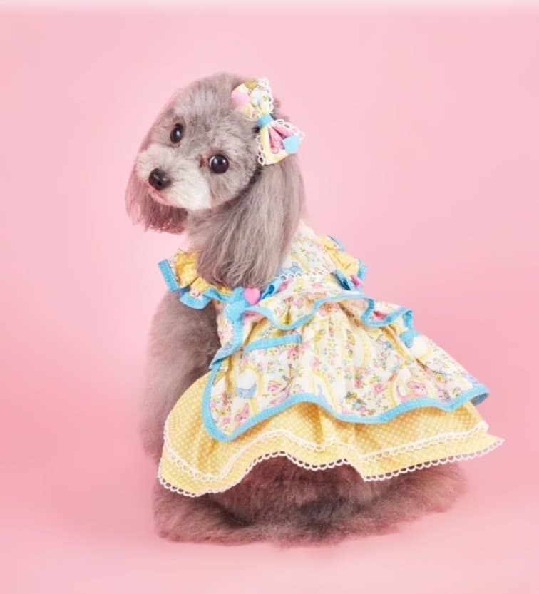 今年購入　キャンディブッピー　ワンピース　Mサイズ　バレッタ付き