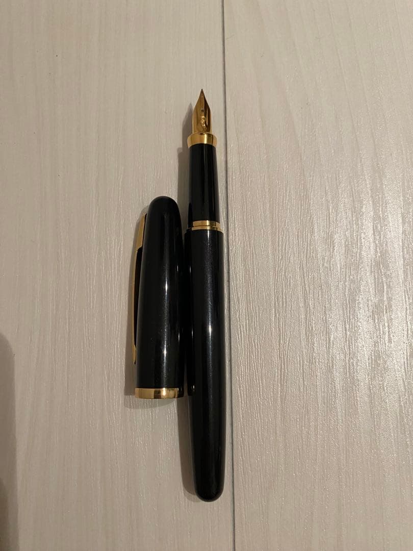 PLATINUM ブラック 万年筆 専用ケース付き