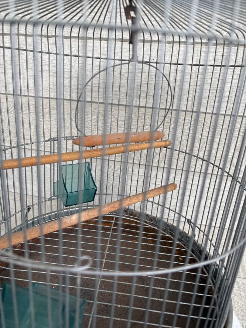 【昭和レトロ】中型鳥かご 金属製 木製止まり木、えさ入れ、水入れ付き