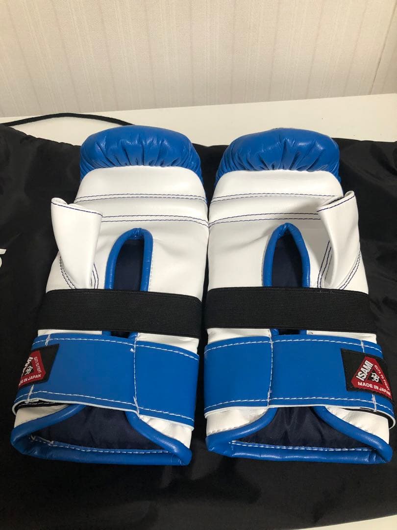 パンチンググローブ イサミ M