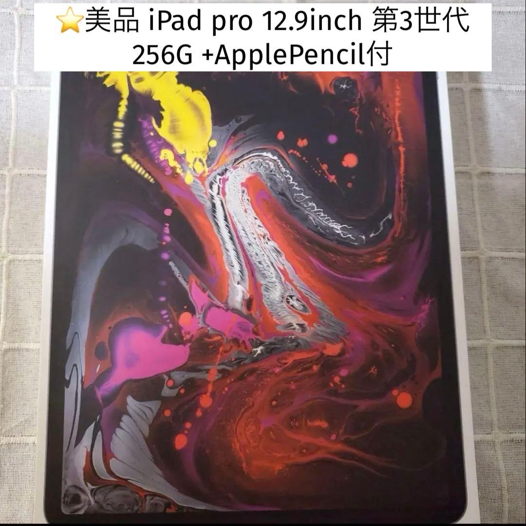 美品 ApplePencil付iPadpro 12.9 第3世代 256G特典有