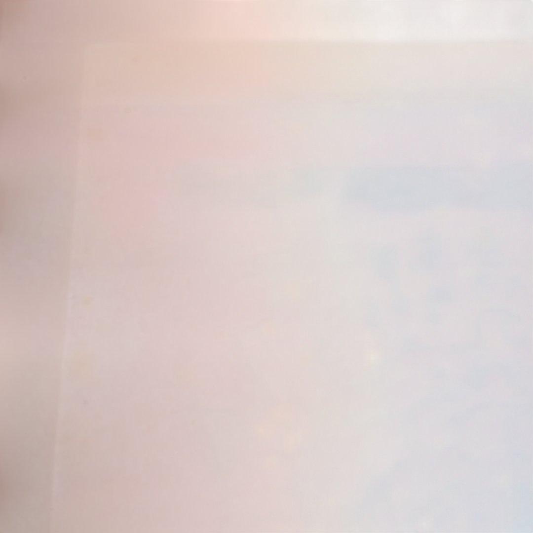 【希少作】 「金魚ネプタの柵」裏彩色　 棟方志功