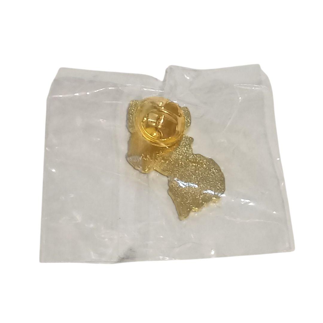 非売品 大阪・関西万博 激レア ガイアナ コモンズ ピンバッジ ガイアナ共和国