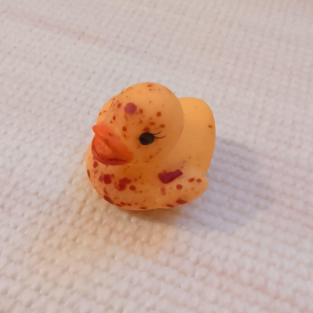 暗黒エンターテイメント　The BEAR