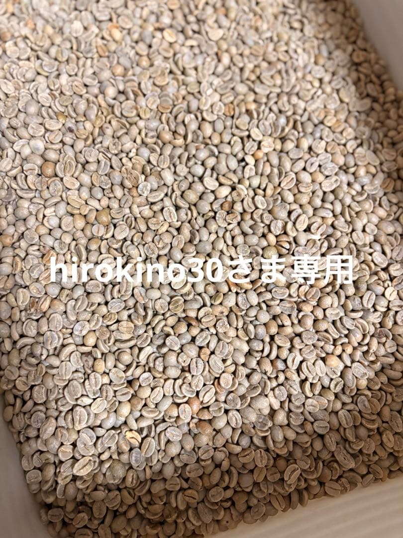 コロンビア5kg/アチェ/ガヨマウンテン3kg特別2種/合計8kg