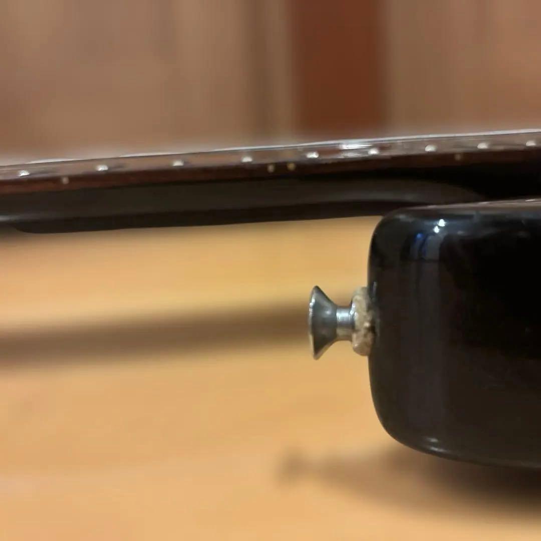 Aria Pro II Vanguard 353 トレモロアーム付 新品弦張替済