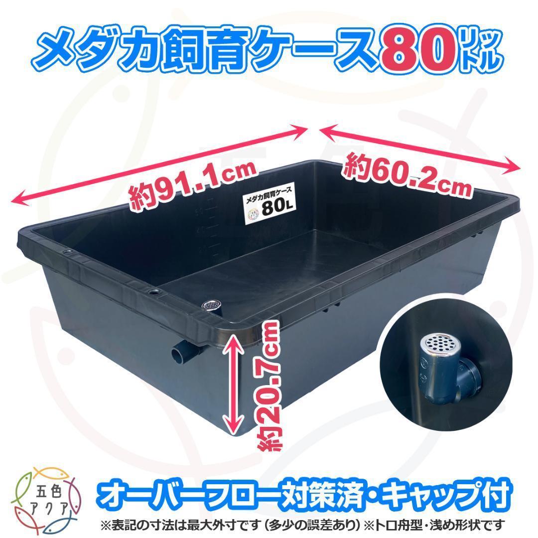 【新仕様】メダカ飼育ケース80L黒x2個 トロ舟 オーバーフロー付 金魚飼育容器