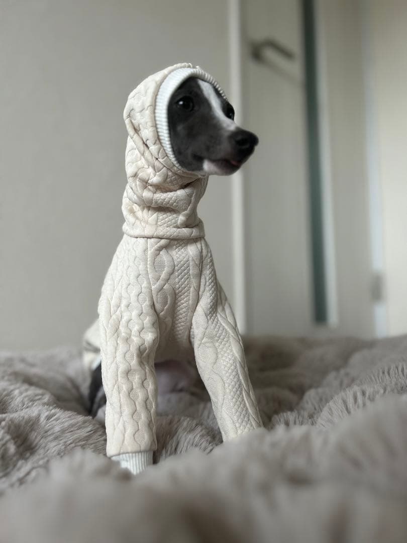 アランキルトニット　イタグレ服　ミニピン服　イタリアングレーハウンド