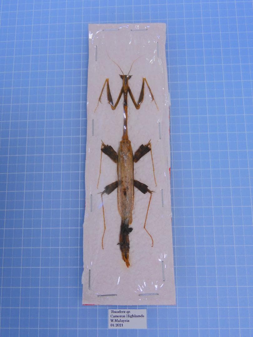 kawara198様 リクエスト 4点 まとめ商品