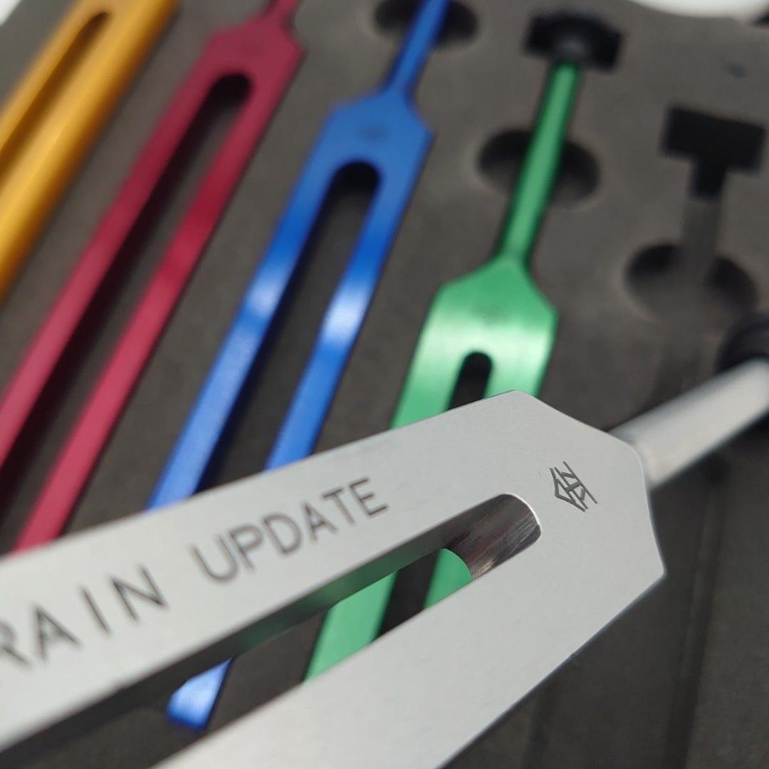 五行音叉　ブレインアップデート　ニチオン