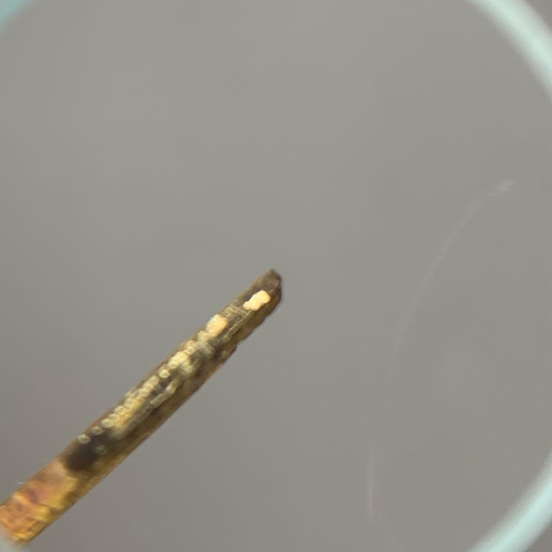 希少品 明治二分判金 明治二分金 二分判金 江戸時代の金貨