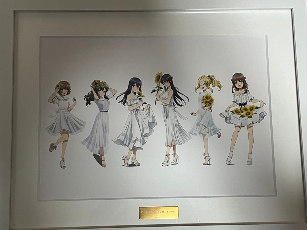 青春ブタ野郎はバニーガール先輩の夢を見ない 集合バージョンファイングラフ