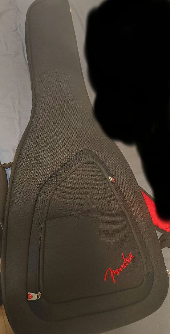 Playtech ST250 ストラトキャスタータイ おまけ付き