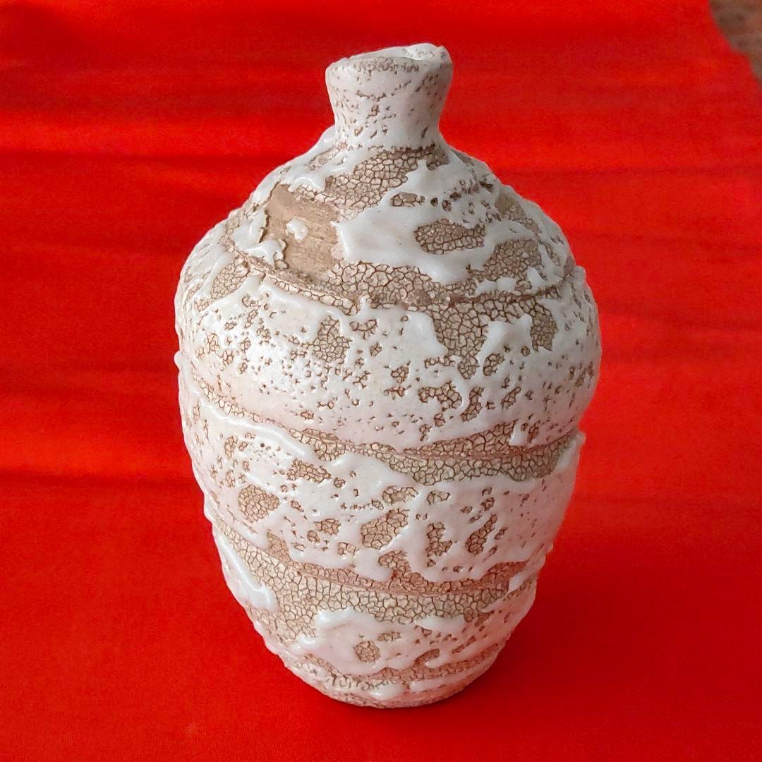 壺　岩月竹光　志野 C