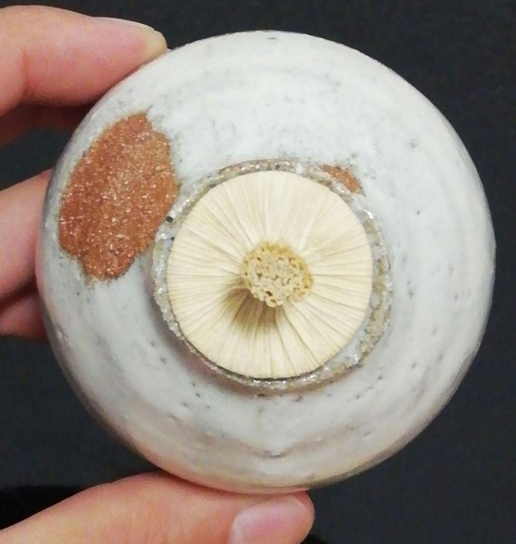 徳澤光則作　唐津焼　斑唐津　振出　共箱　茶道具