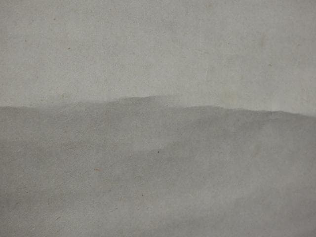 軸　鈴木百年　双松図　保存箱　MA669