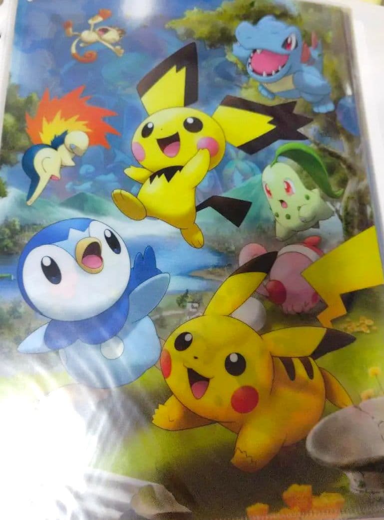 ポケモンクリアファイル250枚