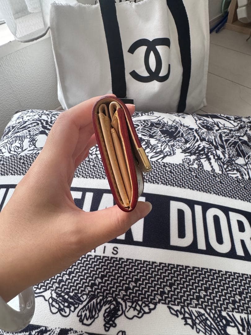 Louis Vuitton マルチカラー ケース カードケース 小銭入れ