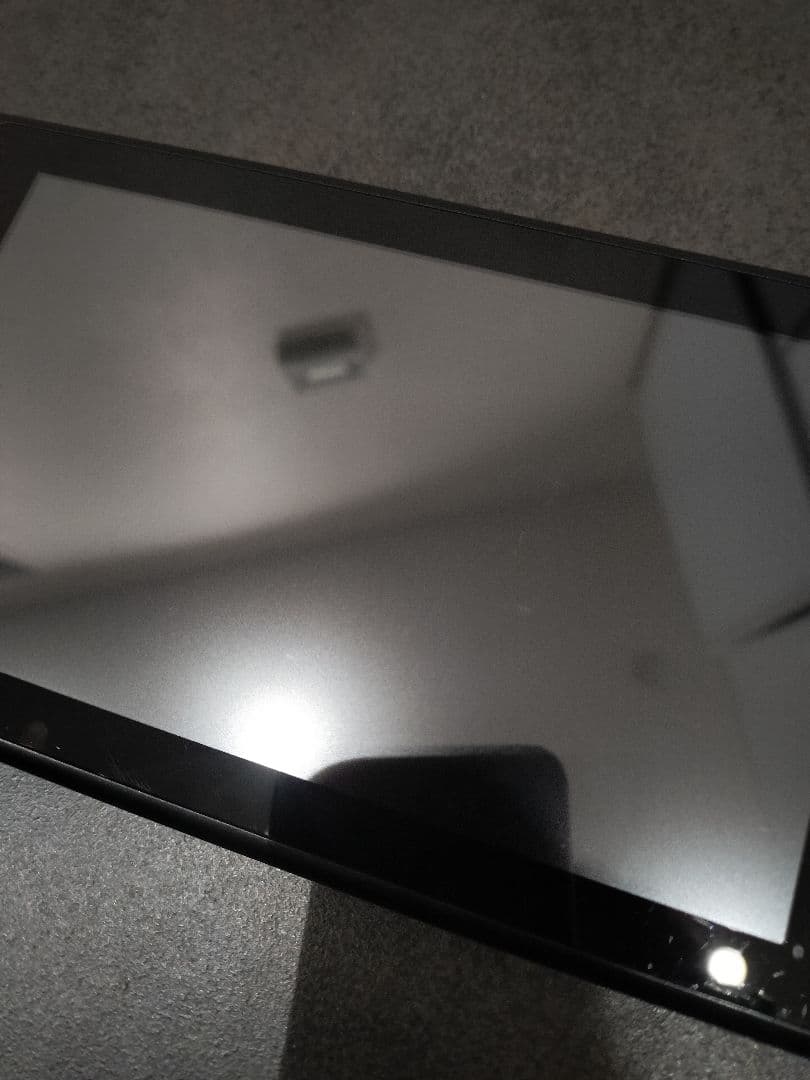 switch 強化版 付属品＋ケース