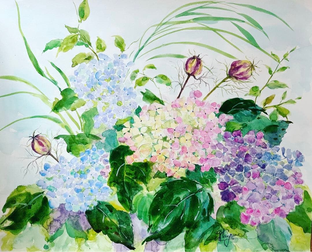 水彩画　紫陽花とニゲラの実