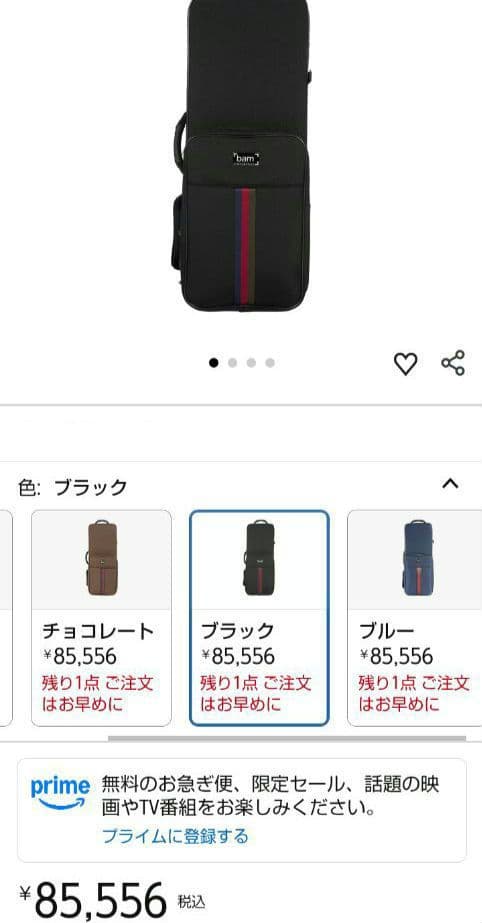 bam　サックスケース サンジェルマン トレッキング　吹奏楽器リュック　黒　部活